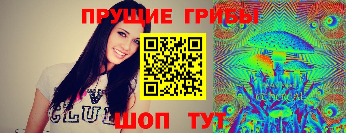 Галлюциногенные грибы GOLDEN TEACHER  Вход с VPN  Чехов 